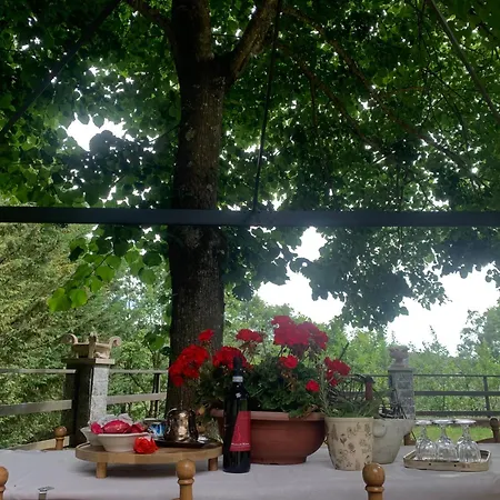 Pitera - In The Mountains *